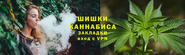ГАЛЛЮЦИНОГЕННЫЕ ГРИБЫ Инсар