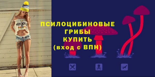 дурь Алексин