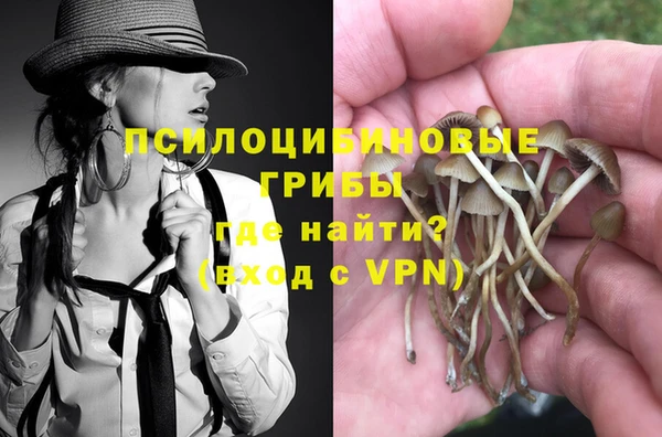 дурь Алексин