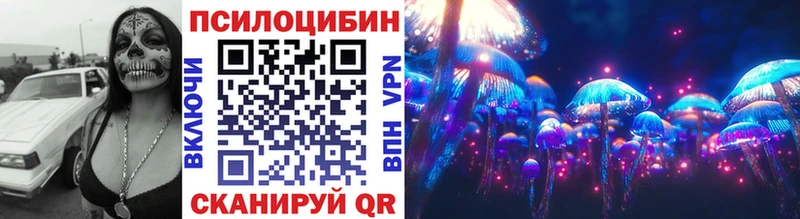 блэк спрут ТОР  Чишмы  Псилоцибиновые грибы Cubensis  где купить наркоту 